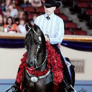 Meet your Posher, Sandra